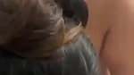 Sexy wife giving blowjob