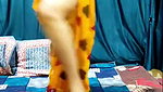 Rajja singh  Pornhub Cam  Indian Porn