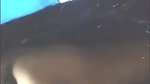 Viral indian cute girl sex video free