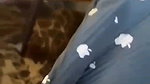 fucking my wife with sexy t shirt