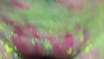 Holi special pussy fucking MMS