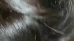 Beautiful Nri Girl Sucking Boyfriend Dick Untill Cum