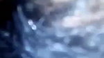 Bangladeshi couple enjoying sex