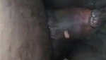milking mature wife