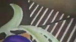 Assamese sex scandal MMS