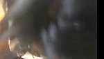 hot girl giving Blowjob to her boyfriend