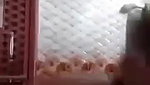 Desi girl bathing and recorded video for bf