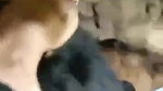 slim hairy pussy girl fucked
