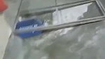 Old lady sharp pussylips screaming anal fuck647304