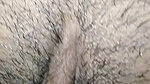 Desi pussy