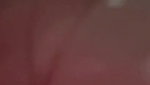 Beautiful Horny Punjabi Wife Masturbating Riding On Cucumber Dildo Moaning Dirty Talking
