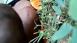 village girl fucked outdoors