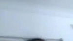 south Indian Whatsapp sex