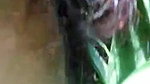 hardcore XXX sexy MMS