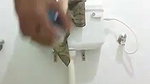 Indian pussy porn MMS