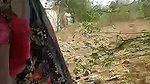 Indian Adivasi girl