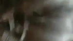 sexy Desi GF fucking