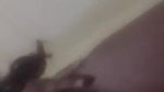 CUTE SLIM BIHARI GIRL TEASING SHOWING