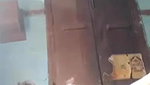 Darjeeling girl fingering pussy