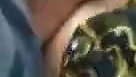 Kashmiri girl sex MMS