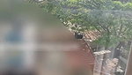Bangalore Young Model Fucking Soft