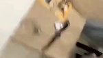Chubby Girl Sucking Dick Hard Fucking Moaning