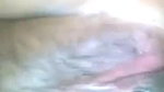 Desi Bhabi anal sex
