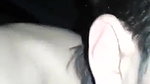 sexy Hindi XXX porn