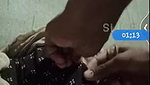 sexy boob show