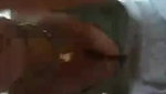 sexy Bhabhi phone sex