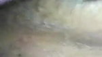 XXX pussy fucking porn