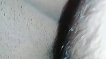 chubby Indian pussy fucking