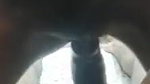 Desi couple Tango sex