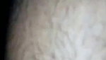 Bengali couple sex MMS