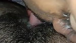 hairy indian pussy licking