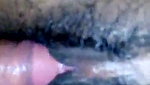 hot hairy pussy fucking MMS