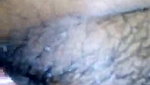hot hairy pussy fucking MMS