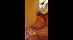 sexy Pakistani teen slut