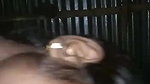 busty village girl riding dick