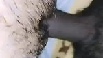 live Indian sex show