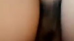 chubby hairy pussy