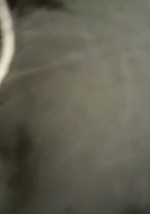 Frame 1