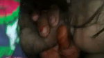 Rajasthani blowjob sex MMS clip
