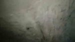 x5EOu6hO Rajasthani couple sex MMS
