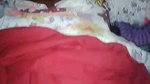 x5EOu6hO Rajasthani couple sex MMS