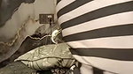 InShot 20260510 181741095