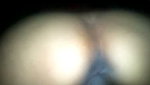 Indian reverse cowgirl sex