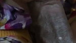 Sexy Indian Blowjob video