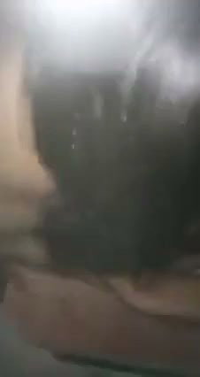 sexy Bhabhi XXX