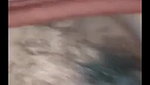 Desi wife livecam expose